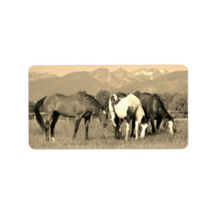 Etiqueta Pastando cavalos no estilo ocidental do Sepia de
