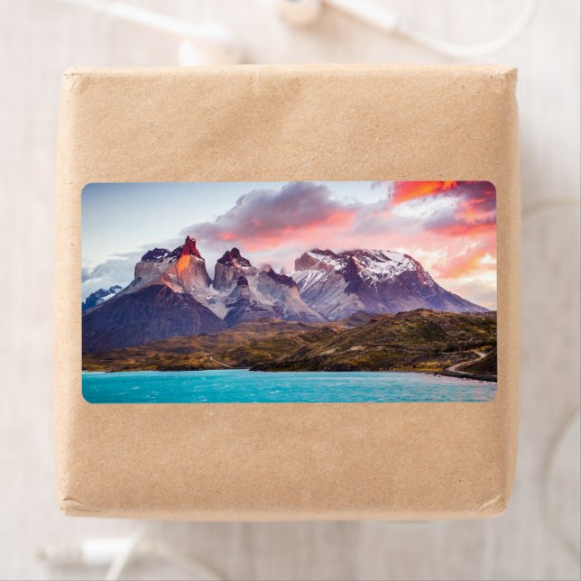 Etiqueta Patagônia (Insitu)