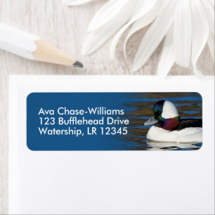 Etiqueta Pato-cabeça-chata no Pond de inverno