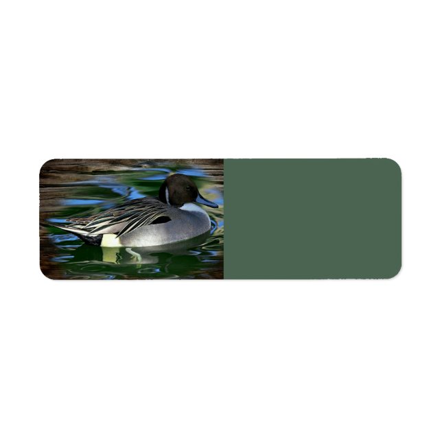 Etiqueta Pato No Lago (Frente)