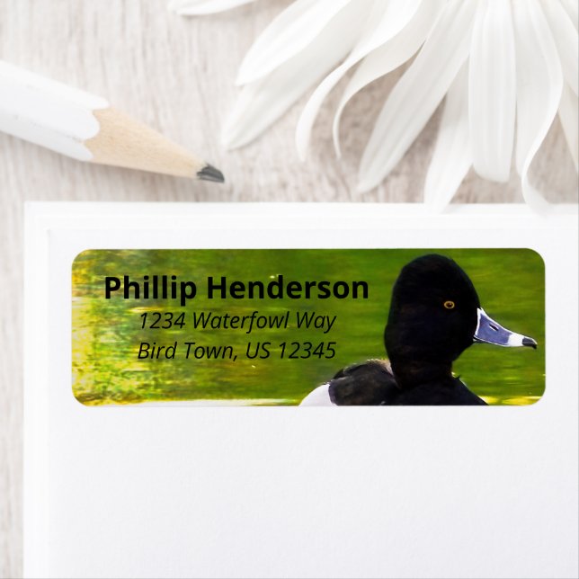 Etiqueta Patos Com Casca Negra Pássaros Pretos e Brancos Ág (Insitu)