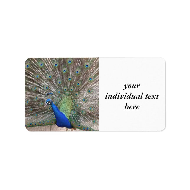 Etiqueta pavão (Frente)