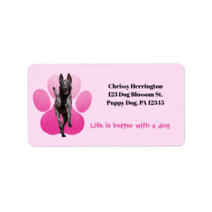 Etiqueta Pawprint Rosa Em Cachorro Malinois Branco / Belga