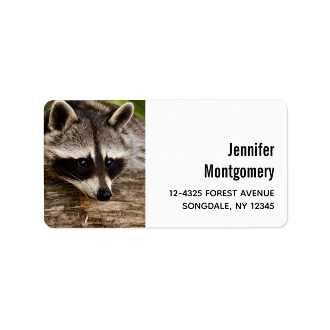 Etiqueta Pedaço de guaxinim em um registro (Frente)