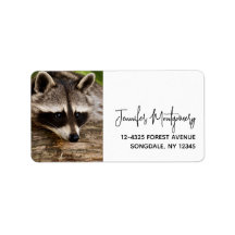 Pedaço de guaxinim em um registro