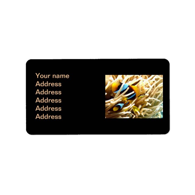 Etiqueta Peixe-Palha (Frente)