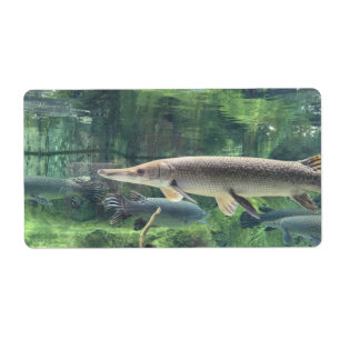 Etiqueta Peixes de Pike