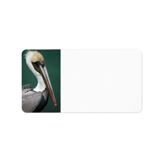 Etiqueta Pelican (Frente)