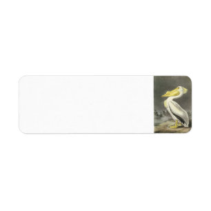 Etiqueta Pelicano branco americano por Audubon