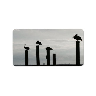 Etiqueta pelicanos no píer