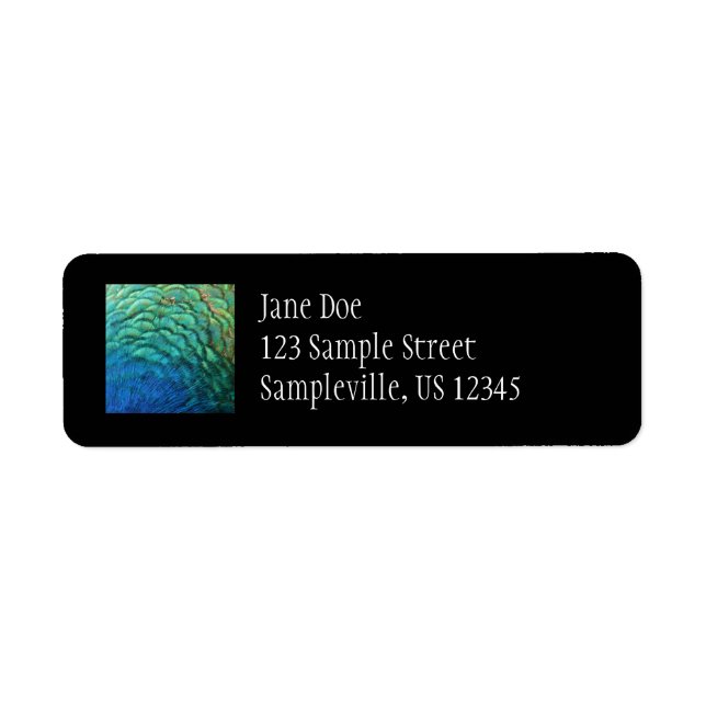 Etiqueta Penas de Peacock I Abstrato (Frente)