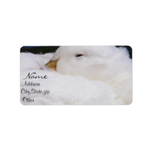 Etiqueta Pensando em você_