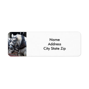 Etiqueta Percheron Draft Horse