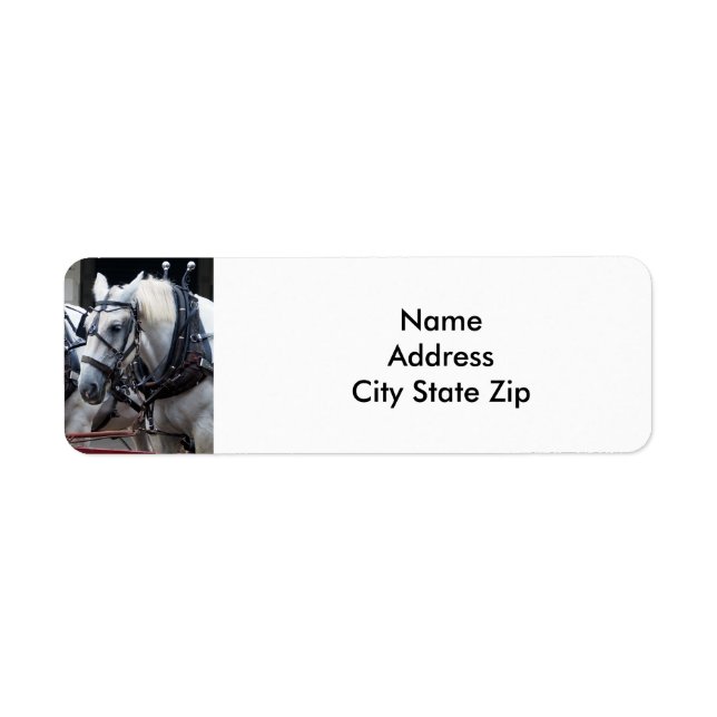 Etiqueta Percheron Draft Horse (Frente)