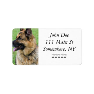 Etiqueta Perfil do german shepherd