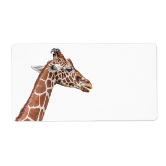 Etiqueta perfil Giraffe