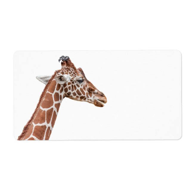 Etiqueta perfil Giraffe (Frente)