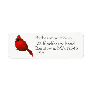 Etiqueta Personalização Bonito do Cardeal Vermelho