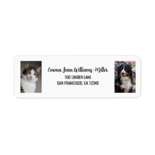 Etiqueta Personalizar 2 Fotografias Cat Dog Modern Return A