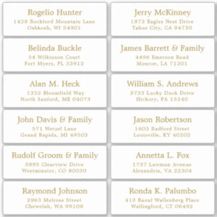 Etiqueta personalizável de etiquetas de endereço