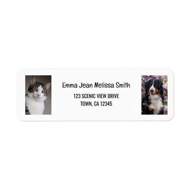 Etiqueta Personalize 2 Fotos Gato Cachorro Endereço de Devo (Frente)