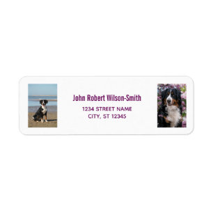 Etiqueta Personalize Fotos com Endereço de Devolução Modern