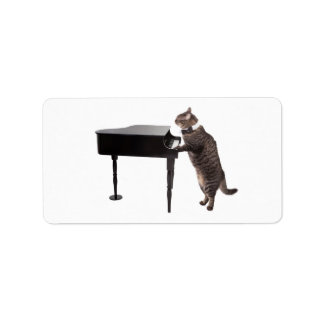 Etiqueta Piano de Reprodução de Gato