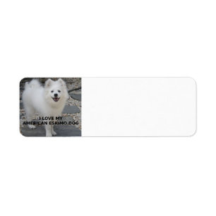 Etiqueta PIC de American_Eskimo_Dog_love w