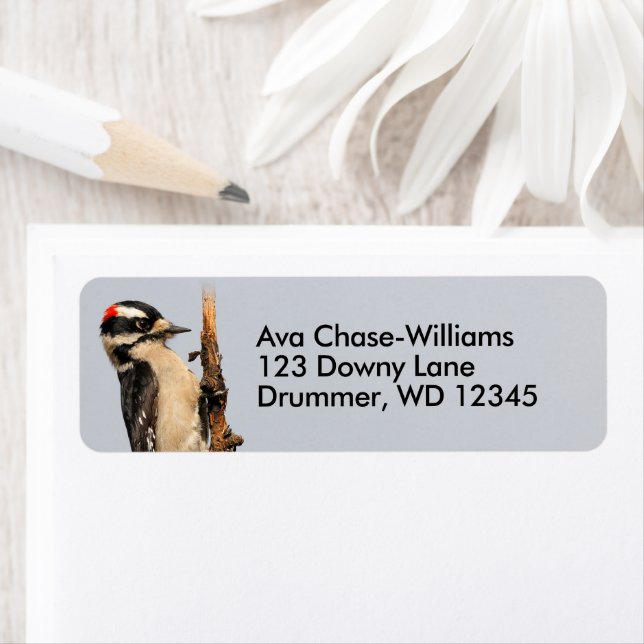 Etiqueta Pica-pau Doce Bonito na árvore Fruta (Insitu)