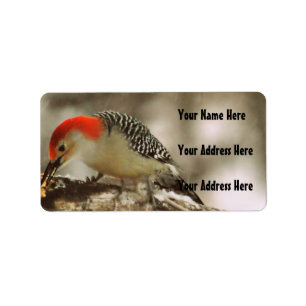 Etiqueta Pica-pau inchado vermelho