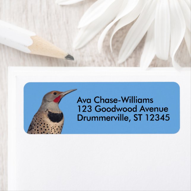 Etiqueta Pica-pica-pau-trepador-norte no Sol (Insitu)