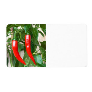 Etiqueta Pimenta encarnado