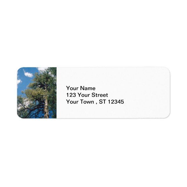 Etiqueta Pine Tree (Frente)