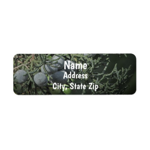 Etiqueta Pine Tree Berries Nature Photo Rustic Address