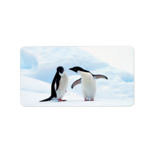 Etiqueta Pinguins de Adelie