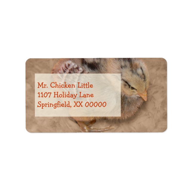 Etiqueta Pintinho - Frango Fluffy Baby (Frente)