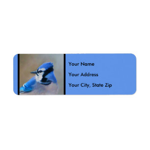 Etiqueta Pintura Blue Jay - Arte Original para Pássaros