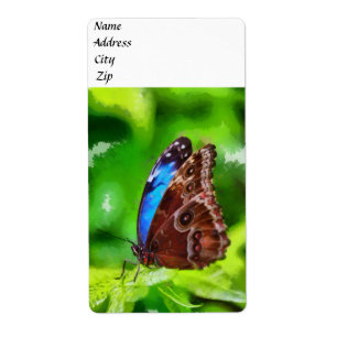 Etiqueta Pintura da borboleta