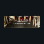 Etiqueta Pirata Theme Birthday ou Bachelor Party<br><div class="desc">Pirate Theme Birthday ou Bachelor Party Labels. Itens correspondentes estão disponíveis.</div>