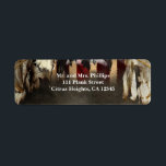 Etiqueta Pirata Theme Birthday ou Bachelor Party<br><div class="desc">Pirate Theme Birthday ou Bachelor Party Labels. Itens correspondentes estão disponíveis.</div>