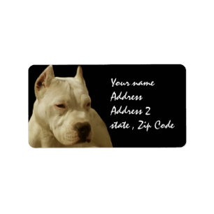 Etiqueta Pitbull branco Terrier