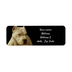 Etiqueta Pitbull branco Terrier