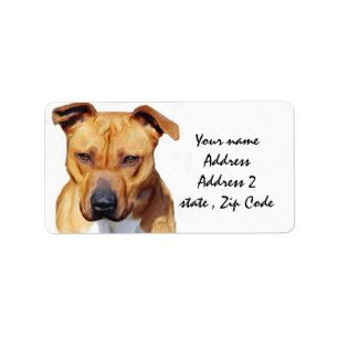 Etiqueta Pitbull Terrier