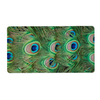 Etiqueta Plumagem de peacock