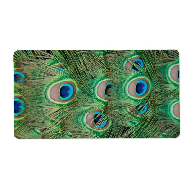 Etiqueta Plumagem de peacock (Frente)