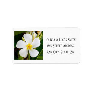 Etiqueta Plumeria Branca Tropical - Novos Começos - Casamen