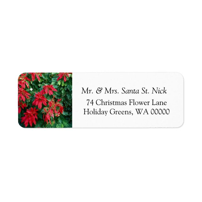Etiqueta Poinsettia Merry Christmas Card Mail Labels (Frente)