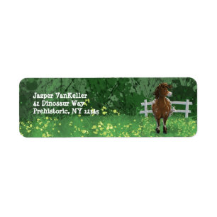 Etiqueta Pônea Pintada de Appaloosa