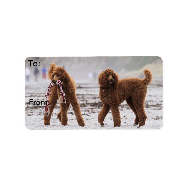 Etiqueta Poodle Day 2010 #10 (Frente)