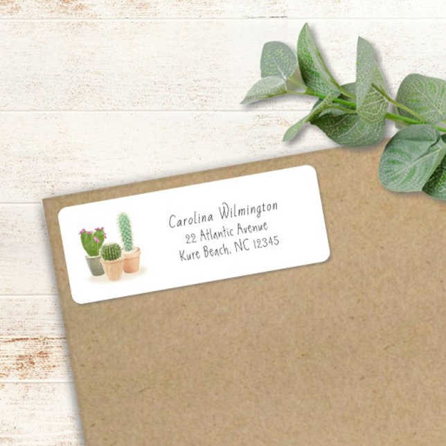 Etiqueta Potes De Flores De Cactus Aquecidos Sucultivos Flo (Criador carregado)